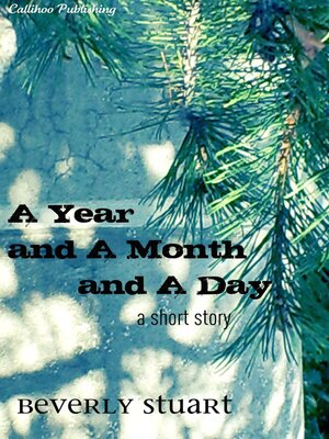 cover image of A Year and a Month and a Day